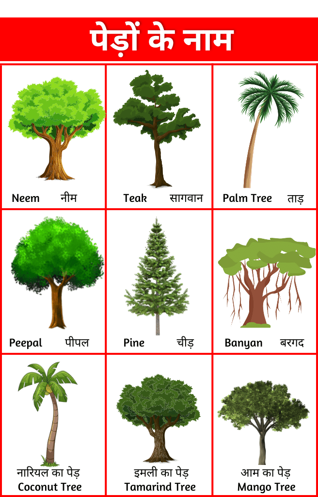 Trees Name in Hindi and English | पेड़ों के नाम हिंदी इंग्लिश में