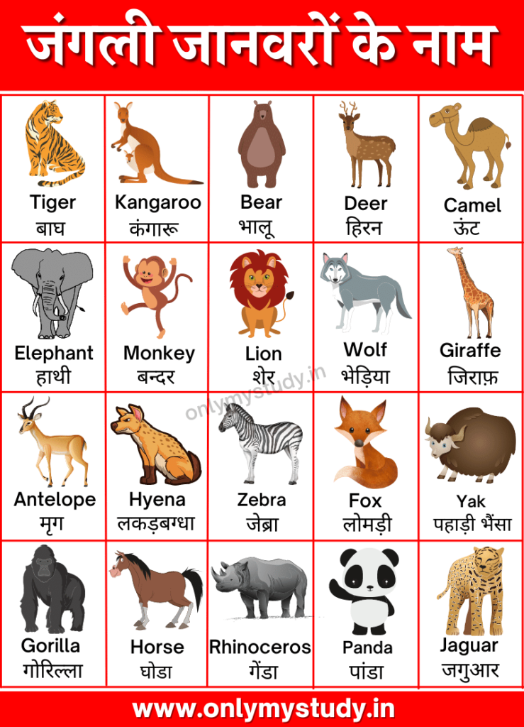 Wild Animals Name In Hindi And English 739x1024 